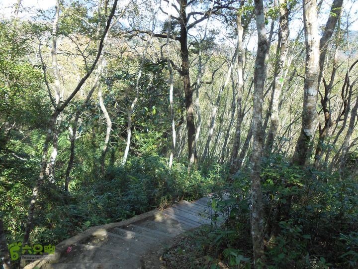 20121216五指山水满乡骑行登山DSCN2138