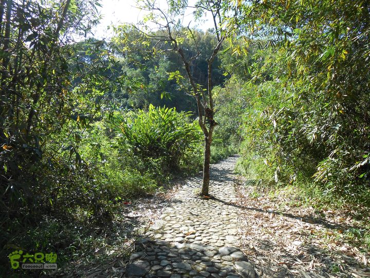 20121216五指山水满乡骑行登山DSCN2162