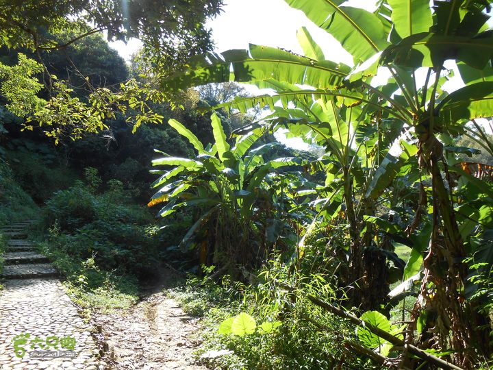 20121216五指山水满乡骑行登山DSCN2151