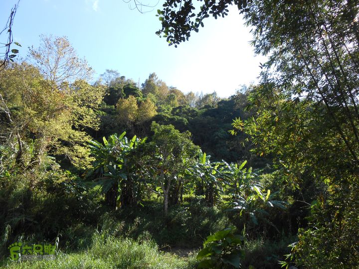 20121216五指山水满乡骑行登山DSCN2161