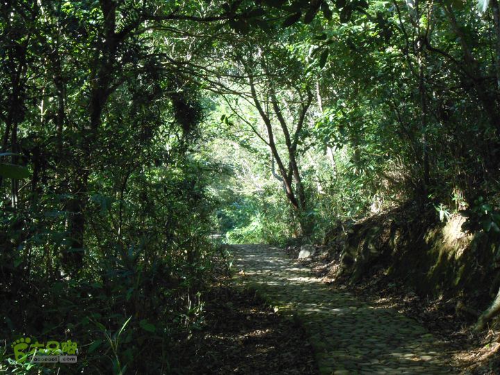 20121216五指山水满乡骑行登山DSCN2165