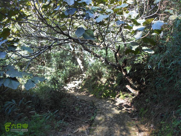 20121216五指山水满乡骑行登山DSCN2168