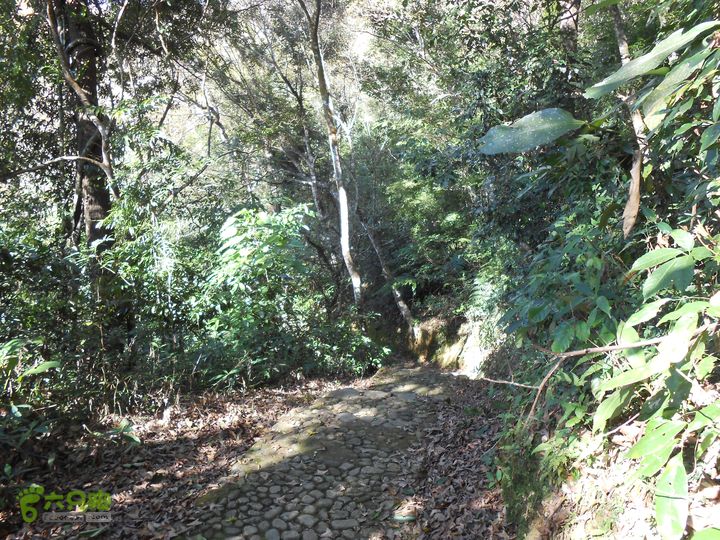 20121216五指山水满乡骑行登山DSCN2173