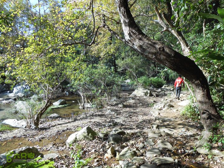 20121216五指山水满乡骑行登山DSCN2179