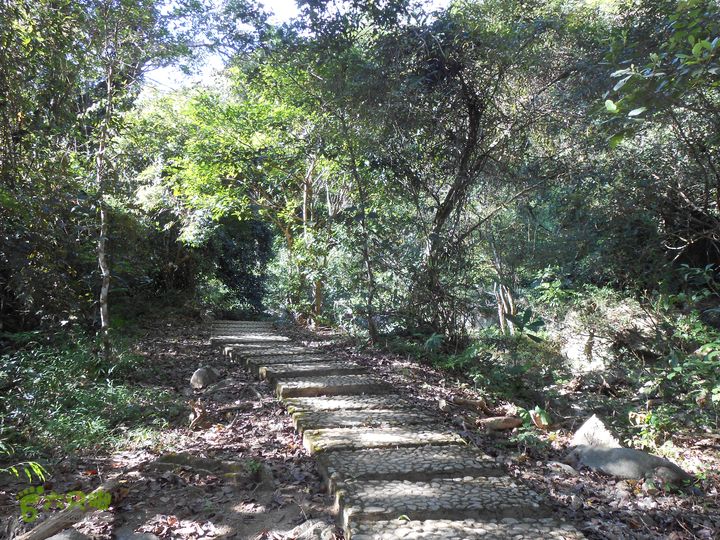 20121216五指山水满乡骑行登山DSCN2184