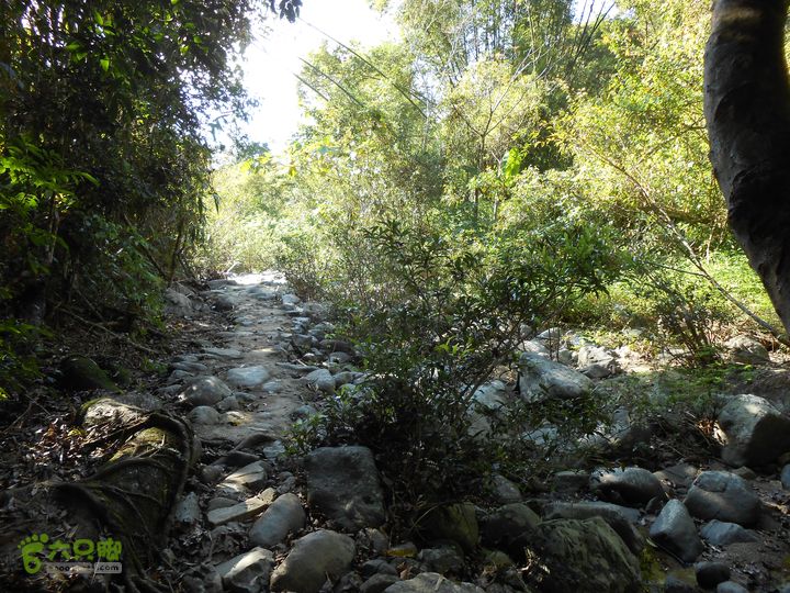 20121216五指山水满乡骑行登山DSCN2185