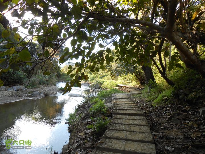 20121216五指山水满乡骑行登山DSCN2200