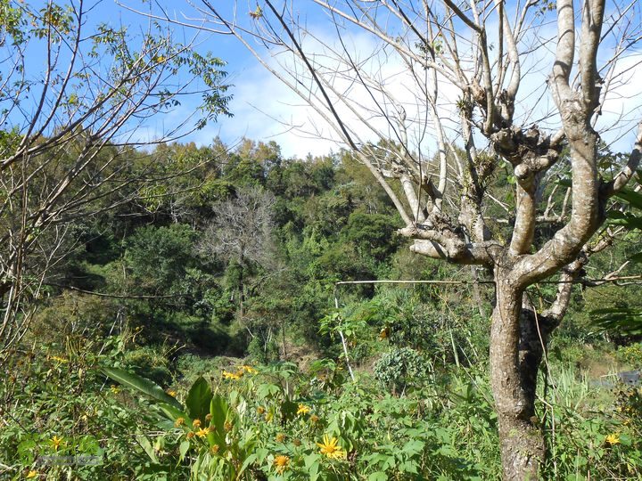 20121216五指山水满乡骑行登山DSCN2202