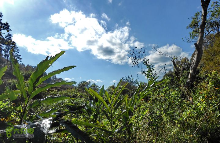 20121216五指山水满乡骑行登山DSCN2205