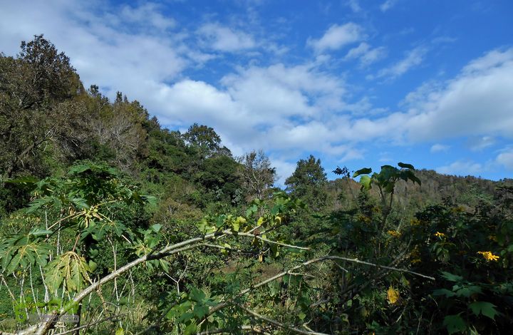 20121216五指山水满乡骑行登山DSCN2206