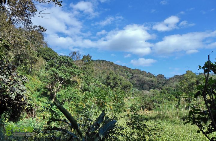 20121216五指山水满乡骑行登山DSCN2207