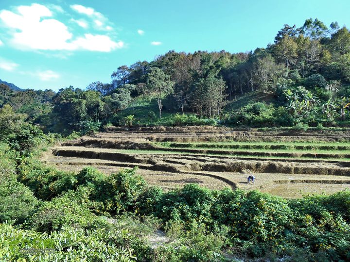 20121216五指山水满乡骑行登山DSCN2213