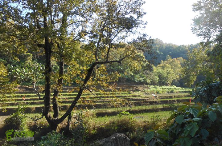 20121216五指山水满乡骑行登山DSCN2215