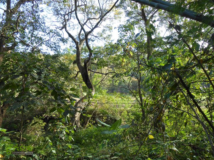 20121216五指山水满乡骑行登山DSCN2218