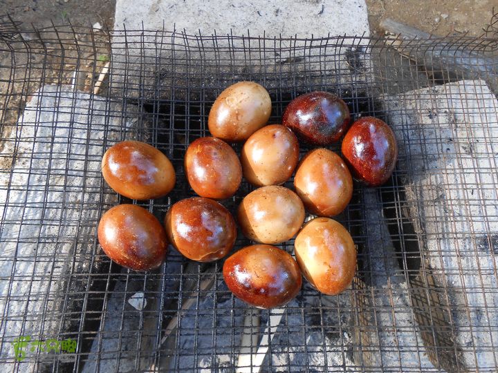 20121216五指山水满乡骑行登山DSCN2222