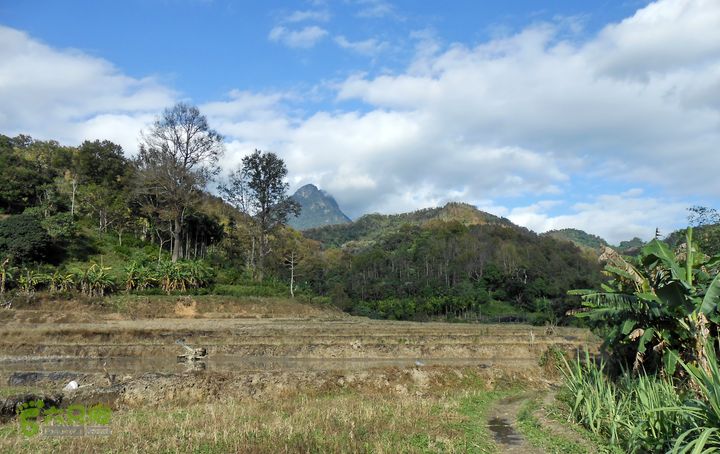 20121216五指山水满乡骑行登山DSCN2224