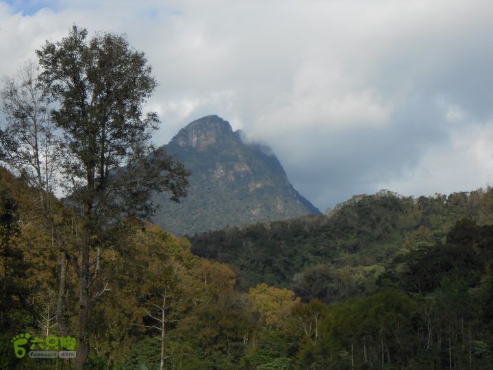 20121216五指山水满乡骑行登山DSCN2225