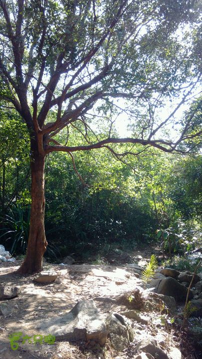 马峦山徒步…小梅沙上小梅沙下2012-12-22 10:31:55