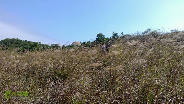 马峦山徒步…小梅沙上小梅沙下有意境的地方