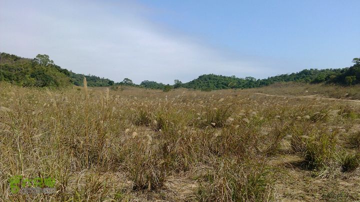 马峦山徒步…小梅沙上小梅沙下2012-12-22 11:10:01