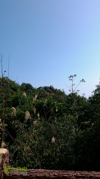 马峦山徒步…小梅沙上小梅沙下2012-12-22 12:48:34