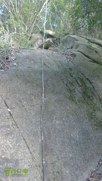 马峦山徒步…小梅沙上小梅沙下通天藤