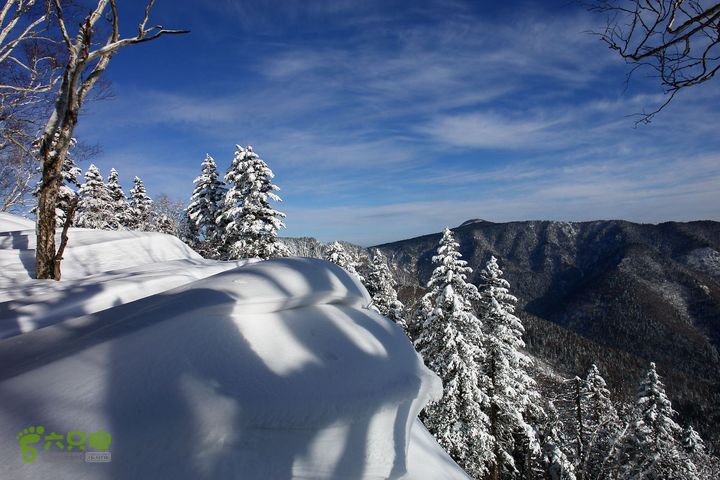 长白山望天鹅1212221918dc732309bf508cd0