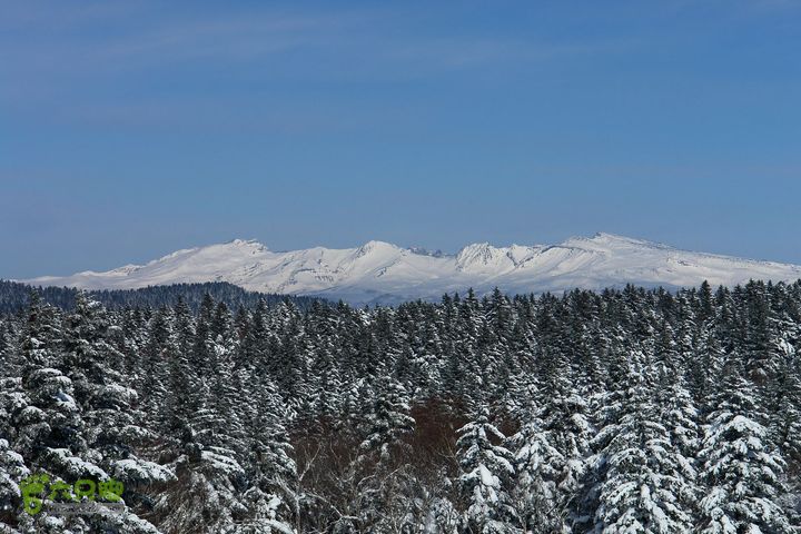 长白山望天鹅1212221953ba3154f9c726b9d1