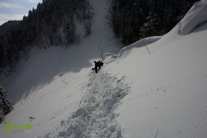 长白山望天鹅1212222006d40363d1e715f86d