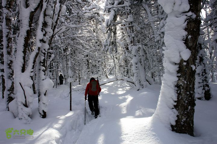 长白山望天鹅1212222140e2df6d539b72ded5