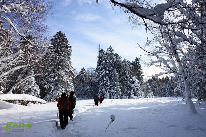 长白山望天鹅1212222159fa2bdd886d4212e9