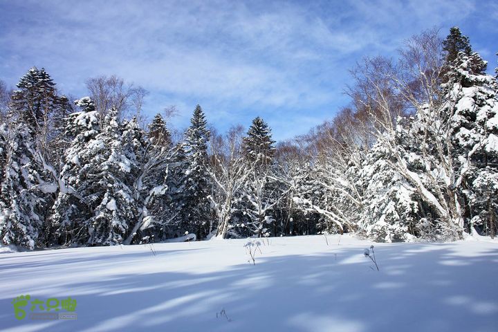 长白山望天鹅1212222201e3050493788922c0