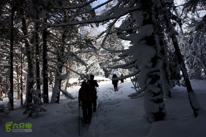 长白山望天鹅12122221463f1c5744a96fa174