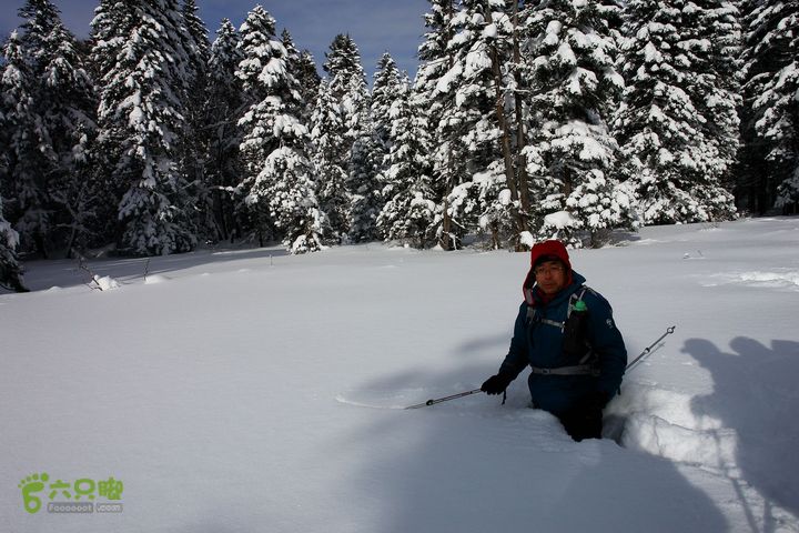 长白山望天鹅12122222100a5277610e90a223