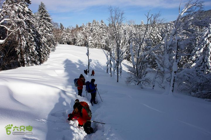 长白山望天鹅121222194759b4d3bbdf4770ef