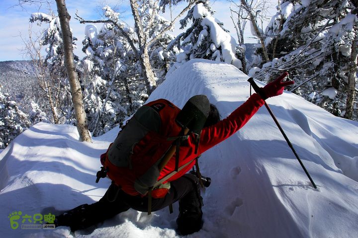 长白山望天鹅1212222132438caf6abfcbc667