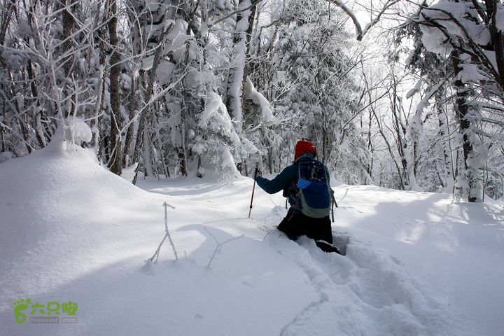 长白山望天鹅12122122437458c8617b01d24e