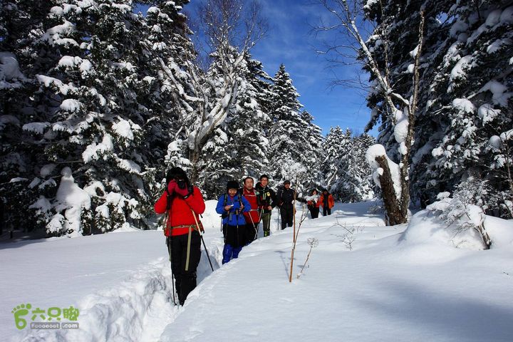 长白山望天鹅12122221356851fd1c00555ad8