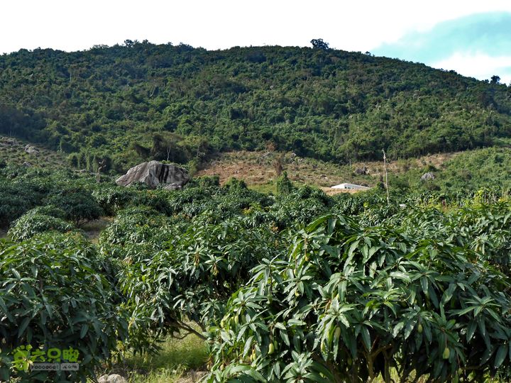 20130105--三亚福万岭山地骑行--大坡度碎石路DSCN2940