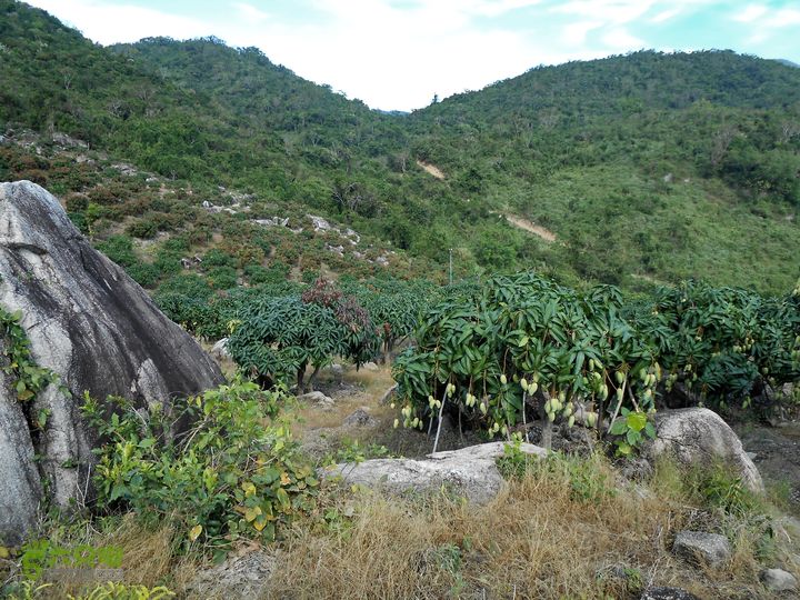 20130105--三亚福万岭山地骑行--大坡度碎石路DSCN2942