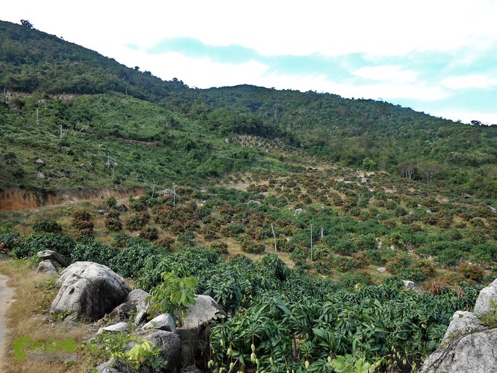 20130105--三亚福万岭山地骑行--大坡度碎石路DSCN2943