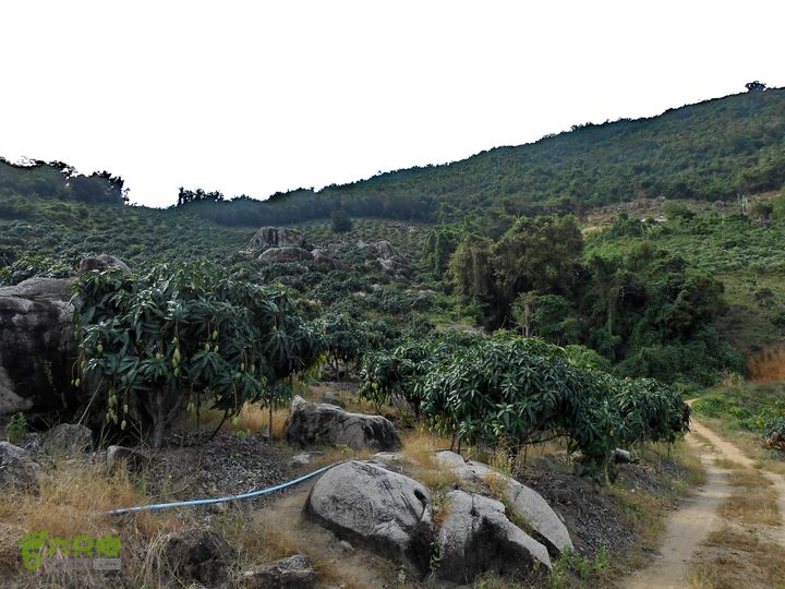 20130105--三亚福万岭山地骑行--大坡度碎石路DSCN2944