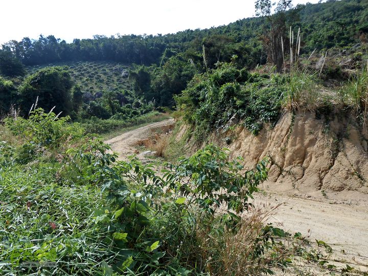 20130105--三亚福万岭山地骑行--大坡度碎石路DSCN2957