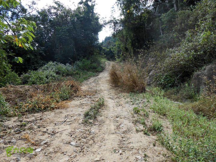 20130105--三亚福万岭山地骑行--大坡度碎石路DSCN2962