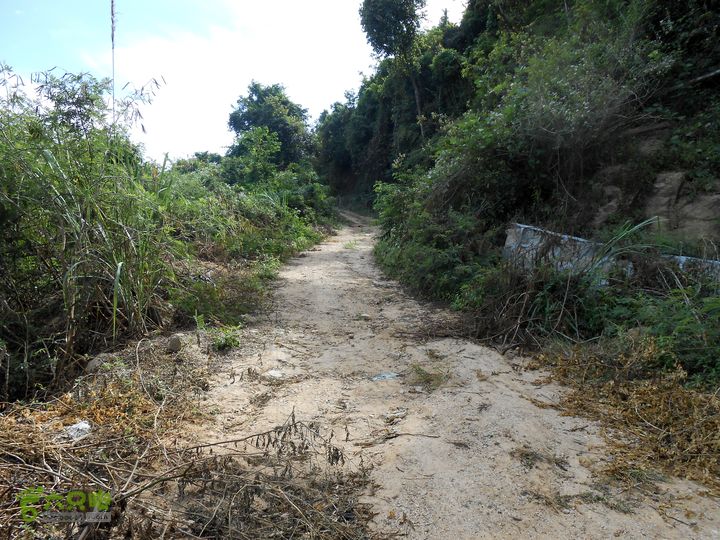 20130105--三亚福万岭山地骑行--大坡度碎石路DSCN2963