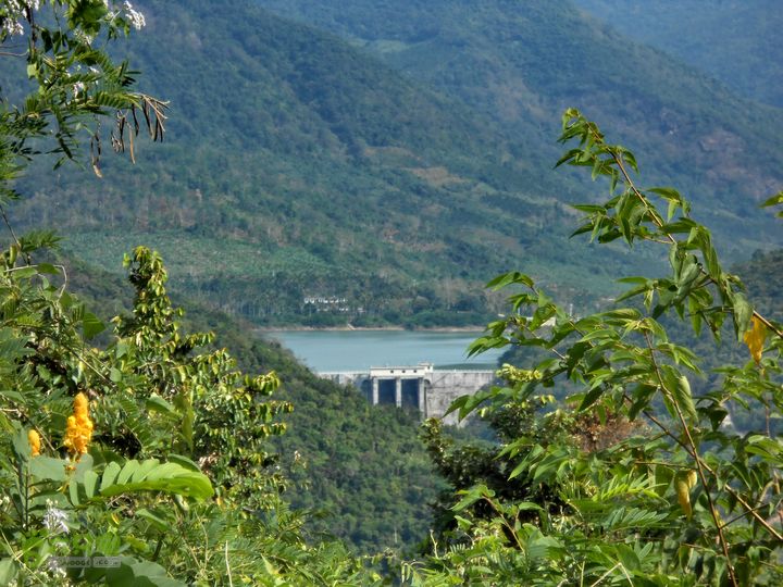 20130105--三亚福万岭山地骑行--大坡度碎石路从树叶缝隙中观看福万水库！