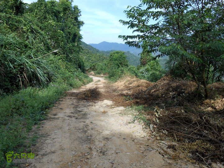 20130105--三亚福万岭山地骑行--大坡度碎石路DSCN2967