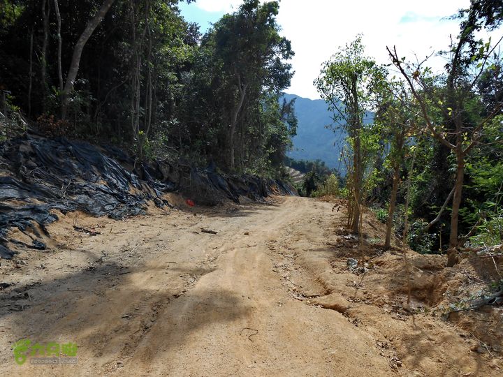 20130105--三亚福万岭山地骑行--大坡度碎石路DSCN2977