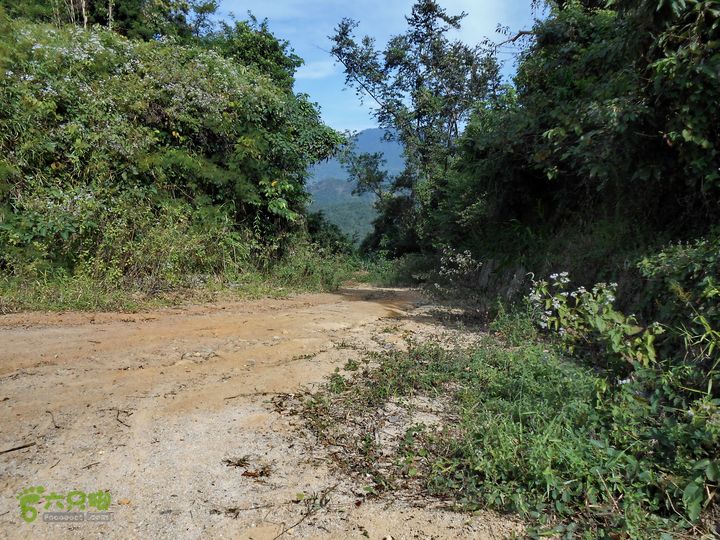 20130105--三亚福万岭山地骑行--大坡度碎石路三岔路口
