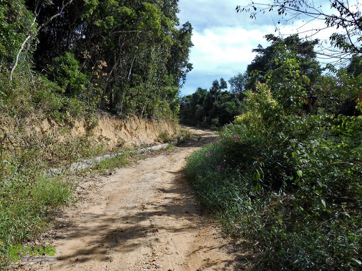 20130105--三亚福万岭山地骑行--大坡度碎石路DSCN2983